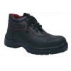 DİP 110 S2 İŞ GÜVENLİĞİ BOTU DİP 110 S2 İŞ GÜVENLİĞİ BOTU